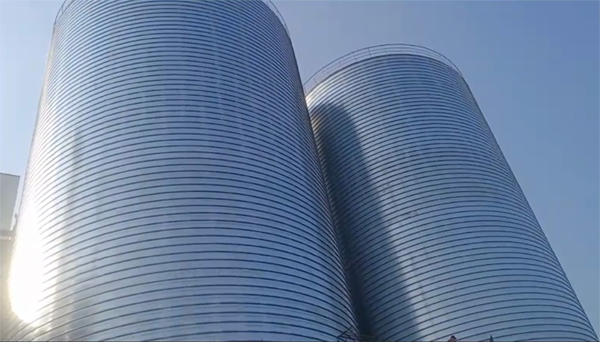 临河2座混凝土高架卷板仓